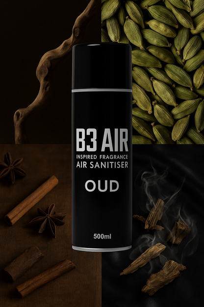 B3 AIR - OUD
